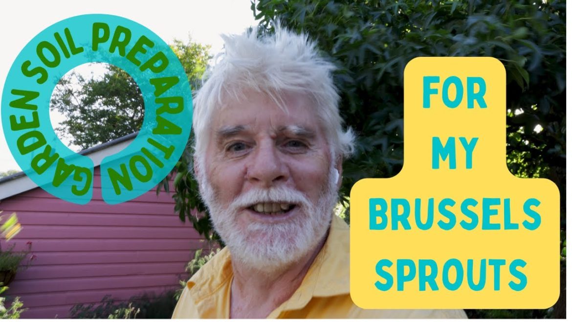 Brussels Sprouts - How to Prepare the Soil for Planting