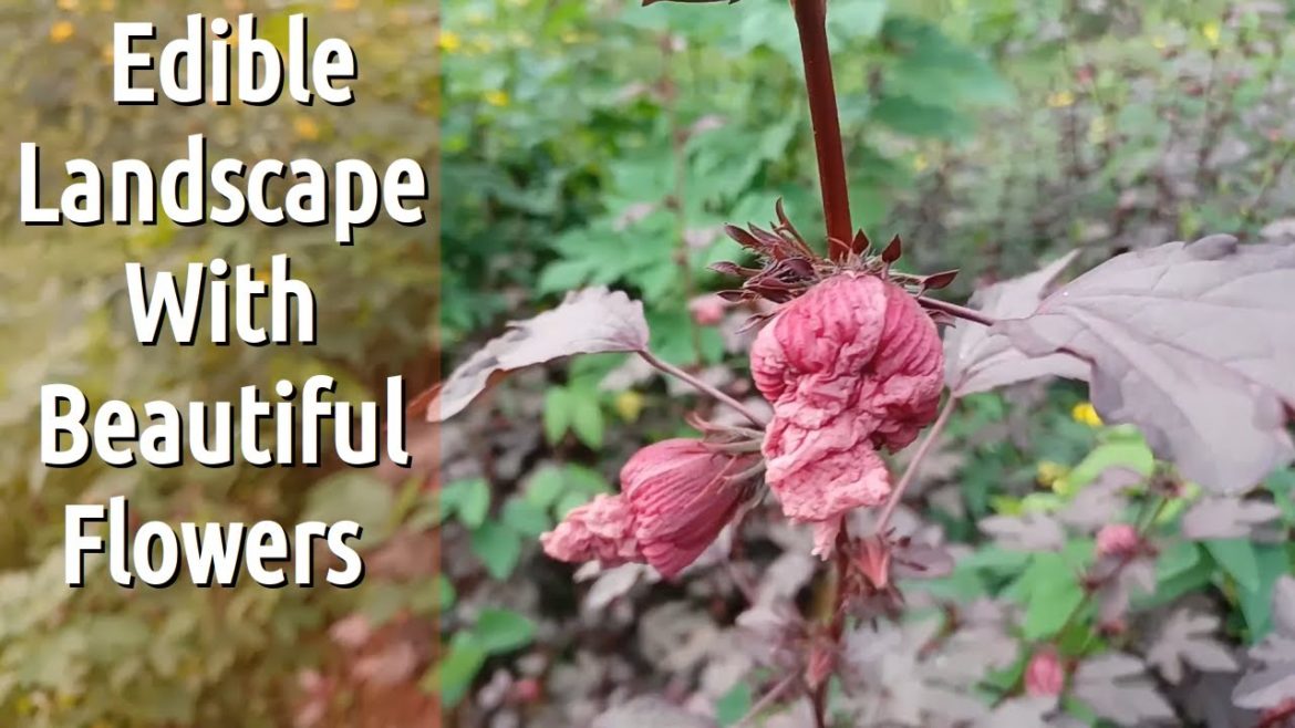 Try some of these edible landscaping plants to add some color to your landscape