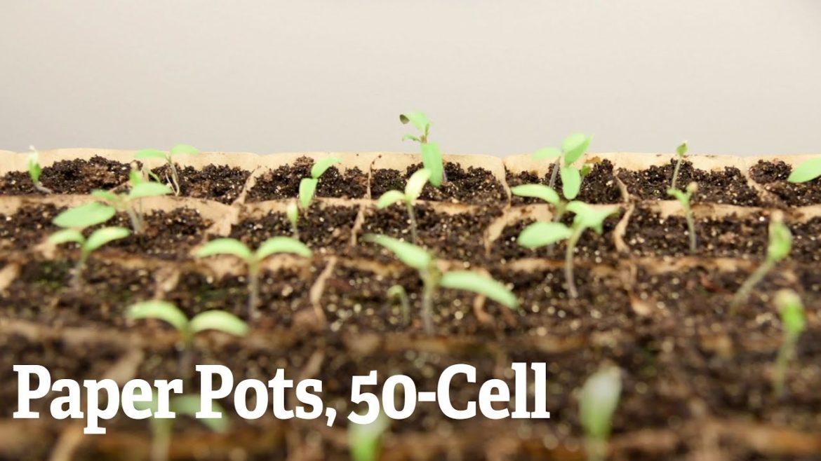 Paper Pots, 50 Cell