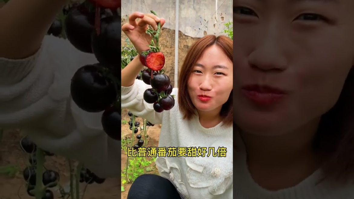 how to growing vegetable #natural #satisfying