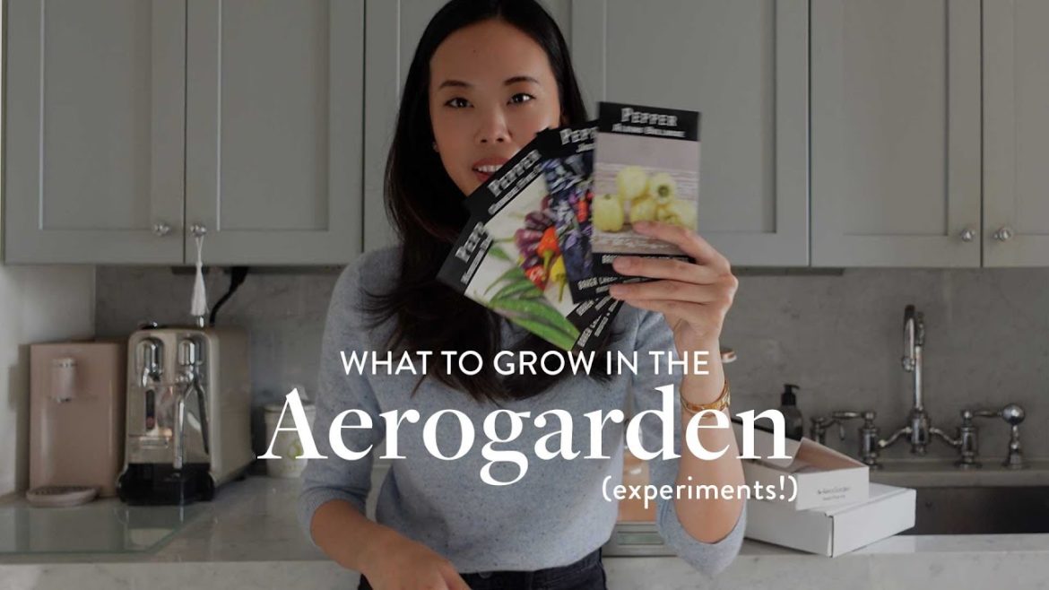 BEST PLANTS for the AEROGARDEN using the grow anything kit! (peppers, tomatoes, lettuces + herbs) BEST PLANTS for the AEROGARDEN using the grow anything kit! (peppers, tomatoes, lettuces + herbs)