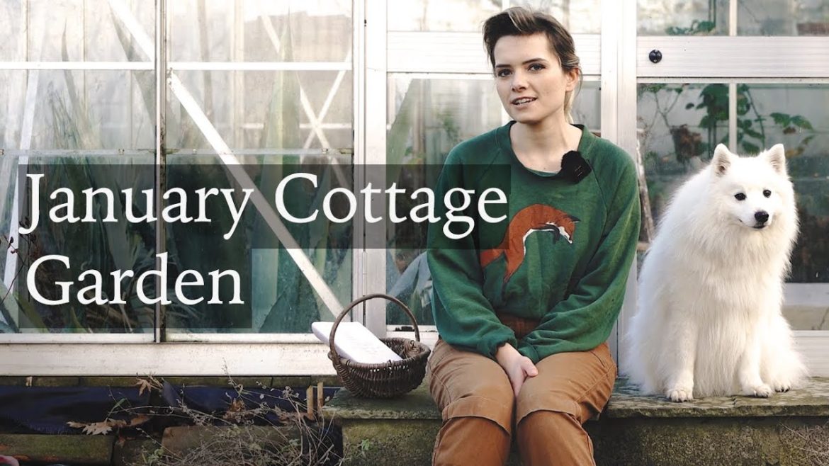 January Cottage Garden - Hellebores, Pruning Roses & Winter Flowers Tour