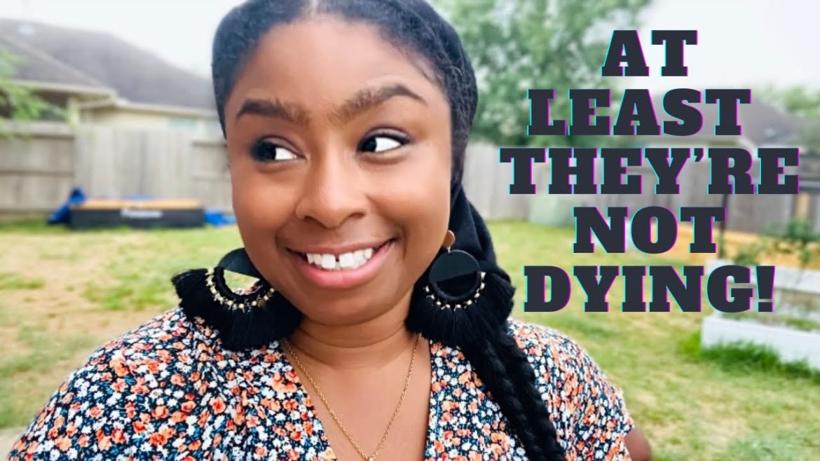 Garden Update | End Of July 2022 | Container Garden #newgardener #texasheat Garden Update | End Of July 2022 | Container Garden #newgardener #texasheat