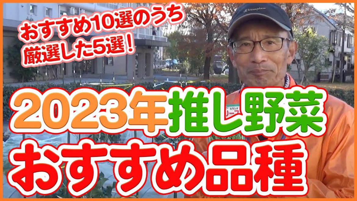 家庭菜園や農園で2023年に育てて欲しい！推し野菜5選！育てやすいおすすめ野菜品種を徹底解説！/5 Vegetable Varieties Recommended by Japanesefarmers