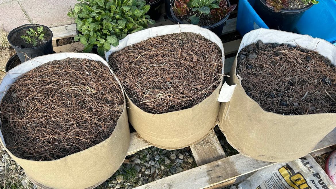 Fabric pots container garden experiment- getting the fabric pots ready for the new year