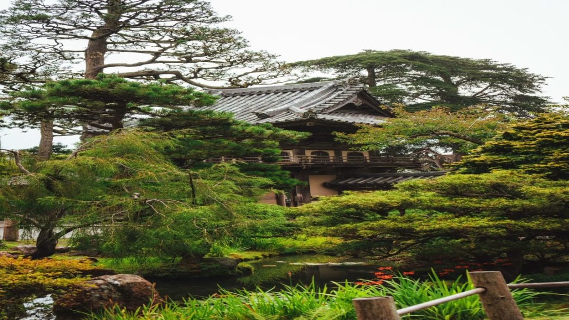 Meditation in japanese garden