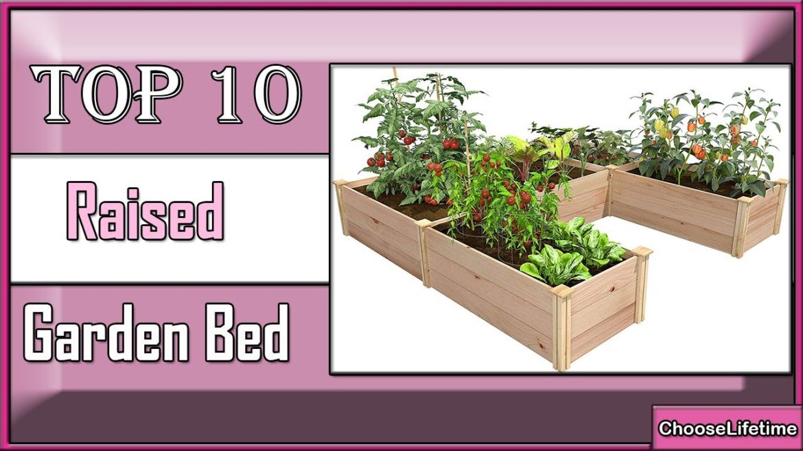✅ Are You Raising Vegetables The Right Way? 10 Best Raised Garden Bed of 2023