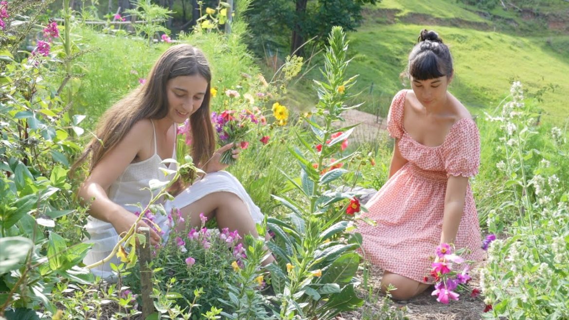 Midsummer in Australia Midsummer in Australia