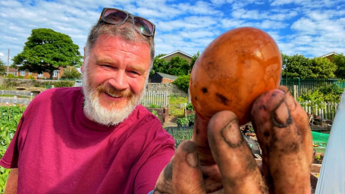 Is Someone Playing A Joke On Me | Allotment Gardening With Tony