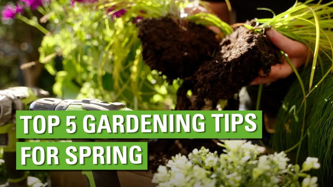 Top 5 Gardening Tips for Spring
