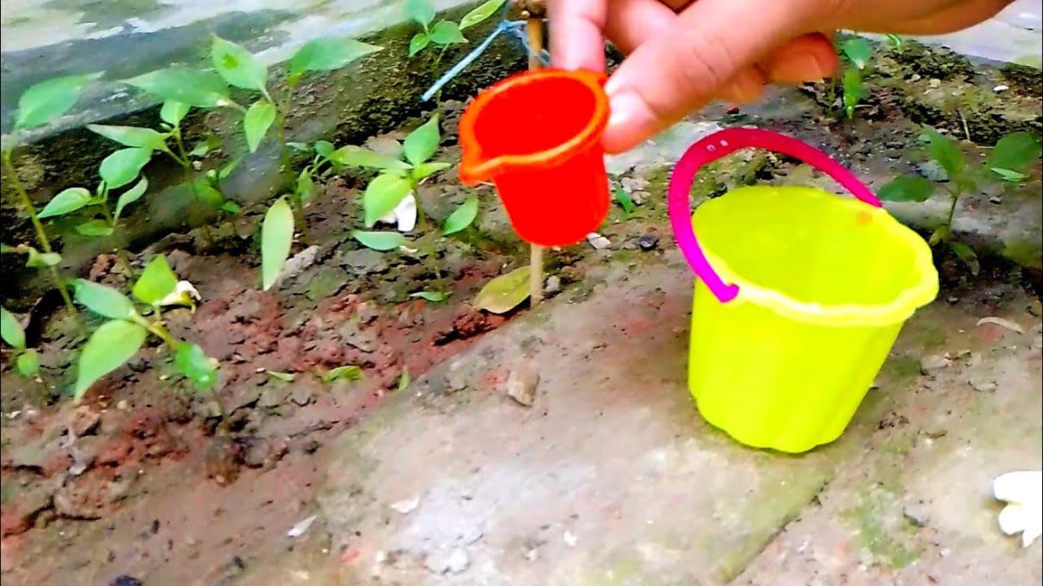 Top Diy mini garden water supply by mini bucket & small mug | funny irrigation | mini creative | Toy