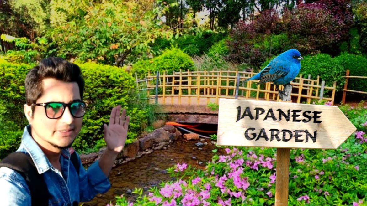 Japanese Garden Pune, Okayama Friendship Garden, Deshpande Garden #punevlogs #japanesegarden