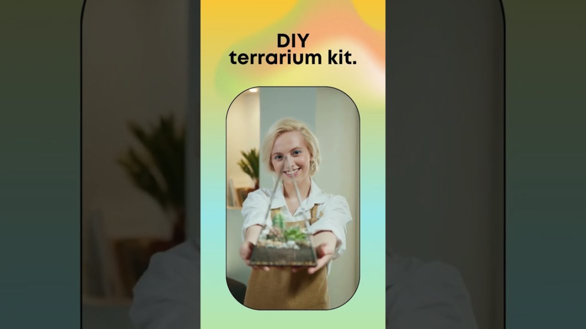 How to make Terrarium for beginners  #shorts