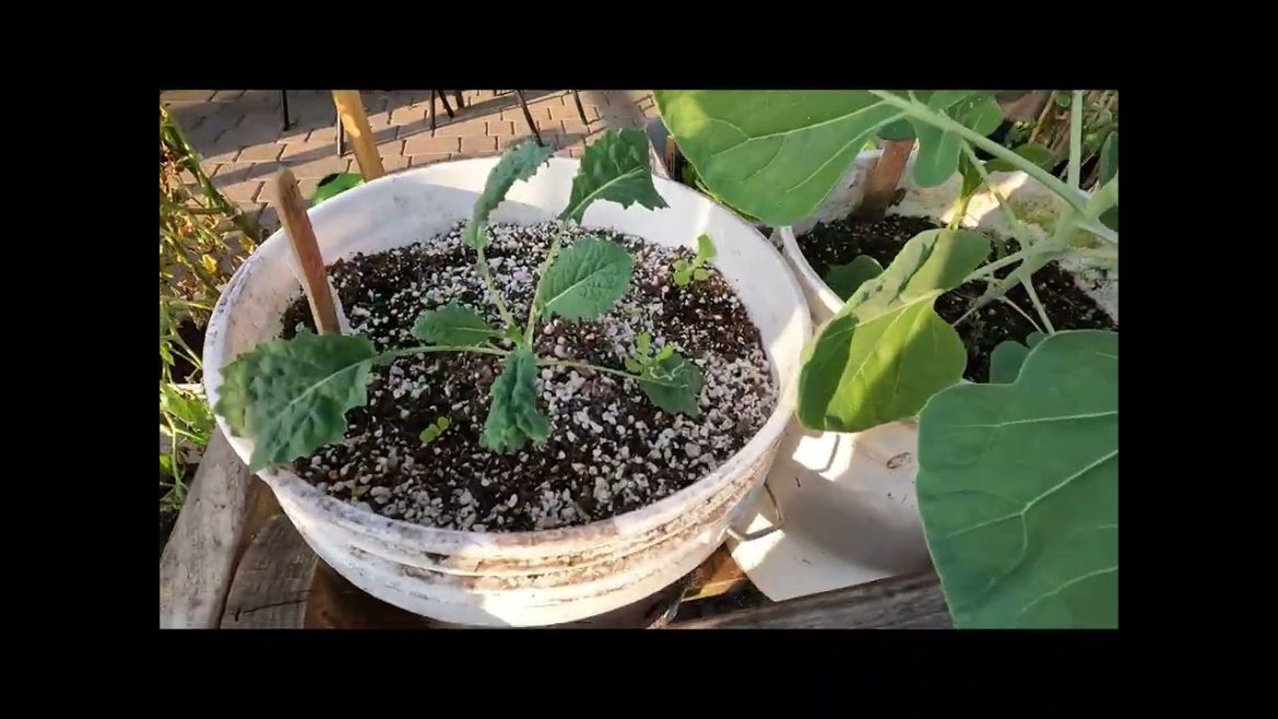 What Survived and What Didn't Survive The Arctic Blast of 2022