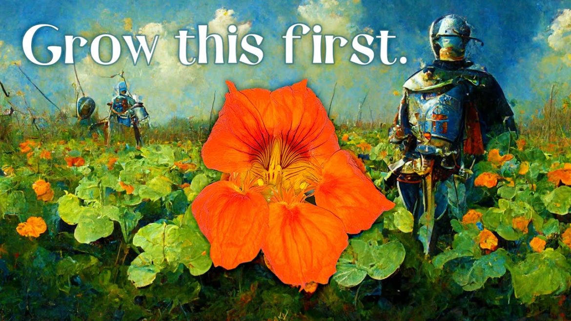 New Gardeners: how to boost confidence quickly New Gardeners: how to boost confidence quickly