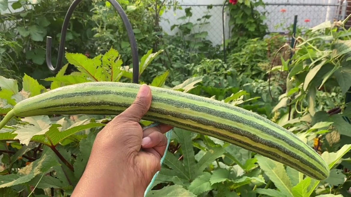 100% eco-friendly #Gardening | REACTING TO GOD’S TIMING | Best Motivational Video Compilation