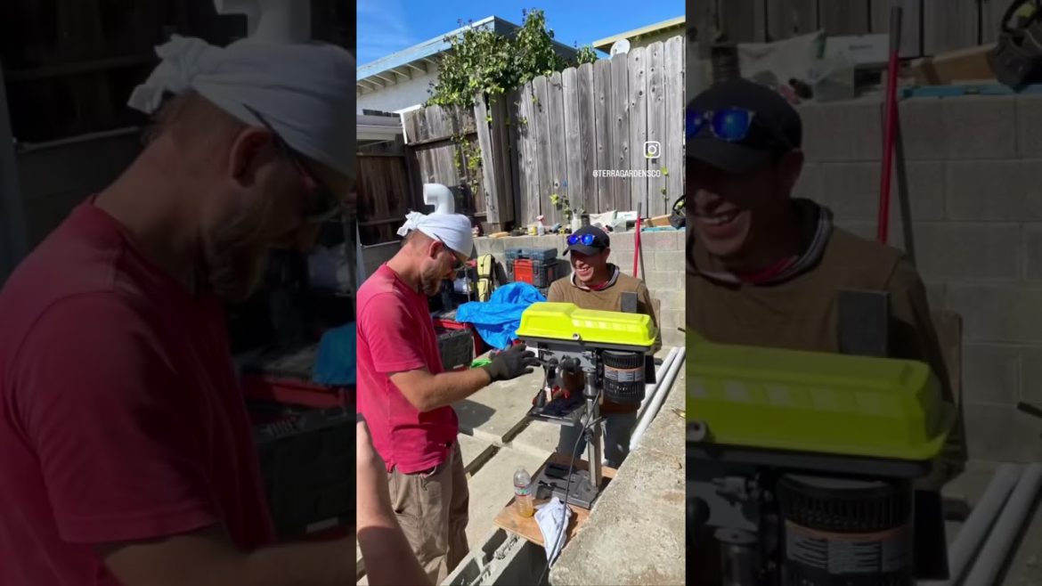 Some construction and landscaping snippets from 2022 💫🌴