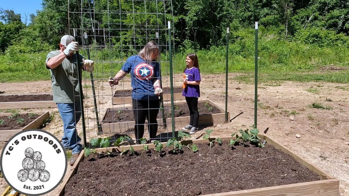 Vegetable Gardening, Building our Cucumber Trellis  . #39