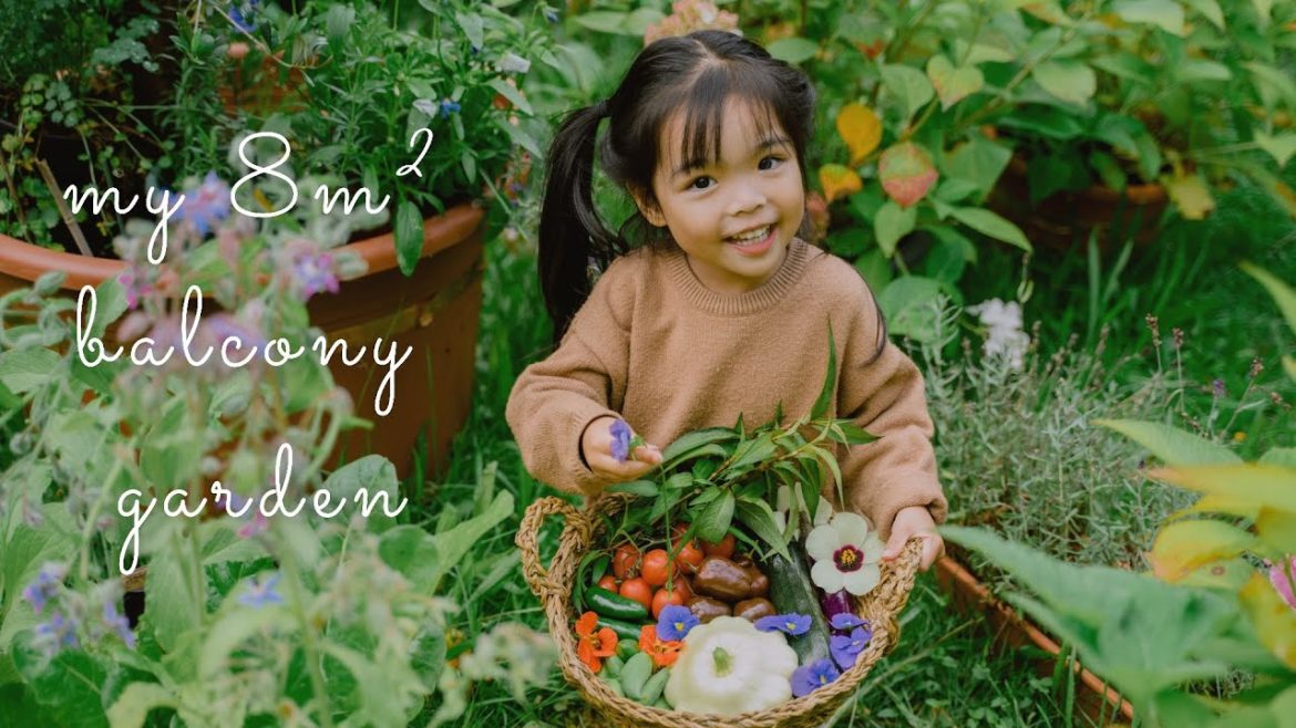 #55 My 8m² Balcony Vegetable Garden | A Wonderful 200 Day Journey To Grow My Own Veggies