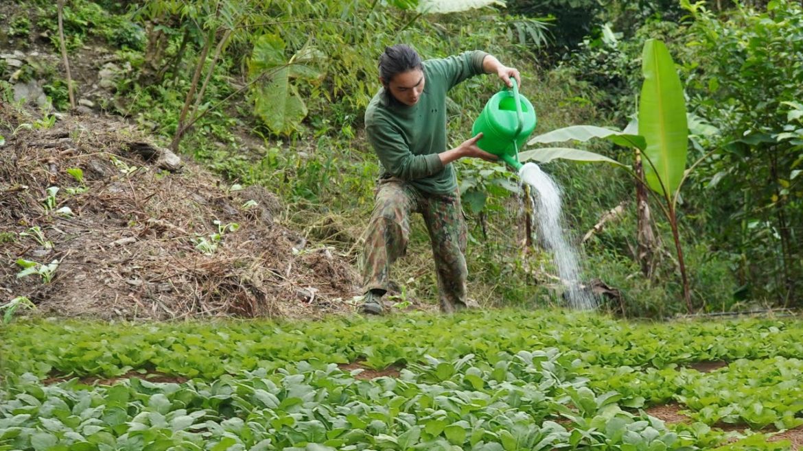 gardening, growing vegetables, farm in the , survival alone