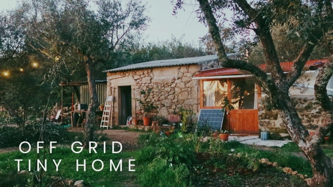 Winter Routines on our Homestead & Cottage Garden