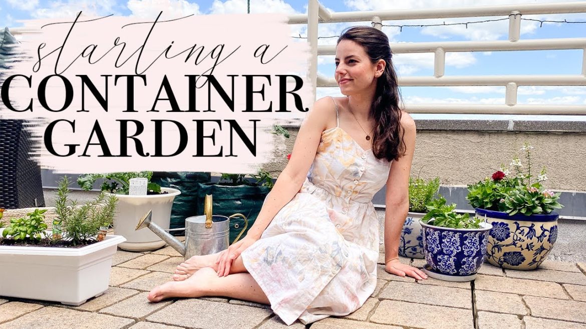 HOW TO START A GARDEN IN AN APARTMENT // starting a container garden on a balcony for beginners