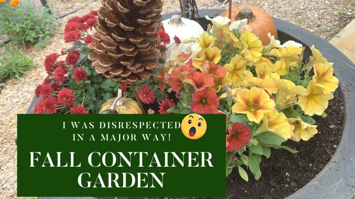 Fall Container Garden|I Was Disrespected in a Major Way😒|Fall Gardening Fall Container Garden|I Was Disrespected in a Major Way😒|Fall Gardening