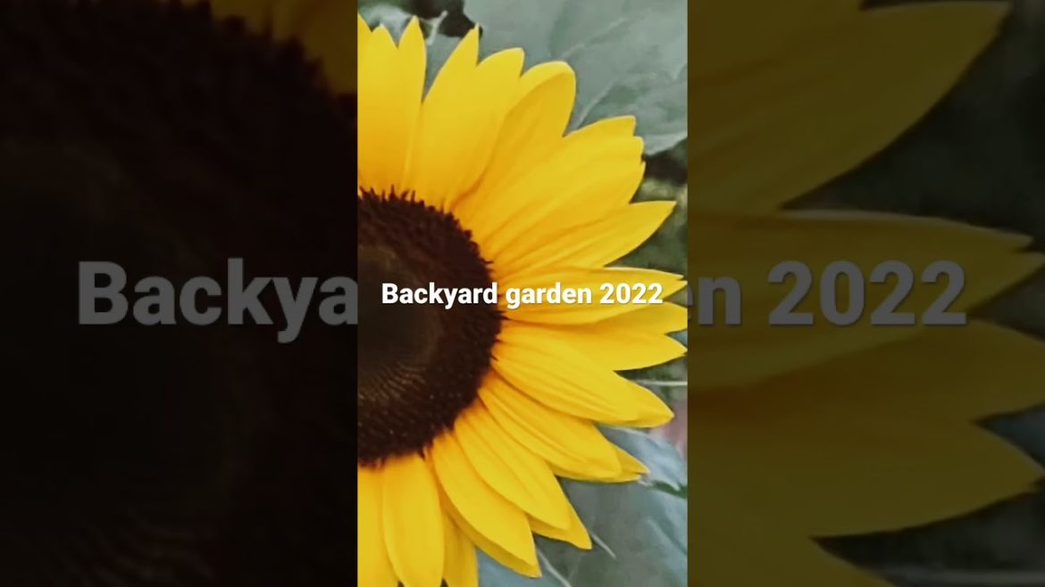 Backyard Garden 2022