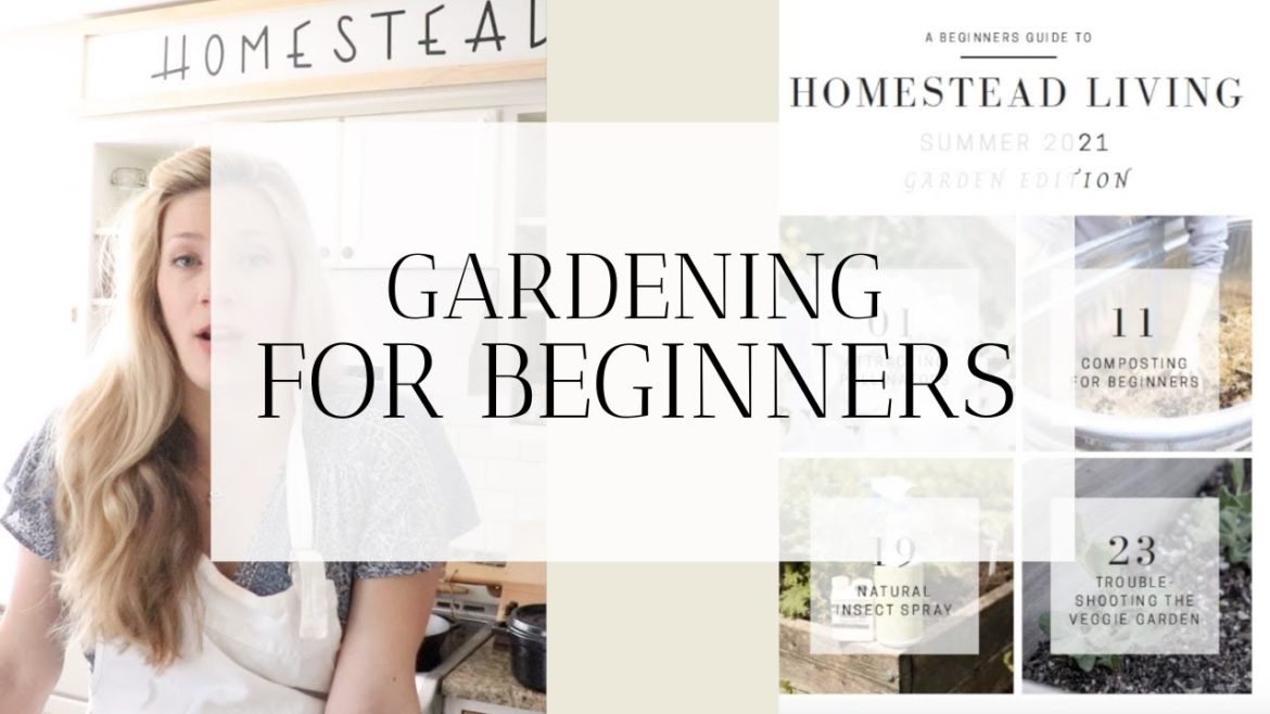 Gardening Tips for Beginners | FREE SUMMER GARDEN GUIDE Gardening Tips for Beginners | FREE SUMMER GARDEN GUIDE