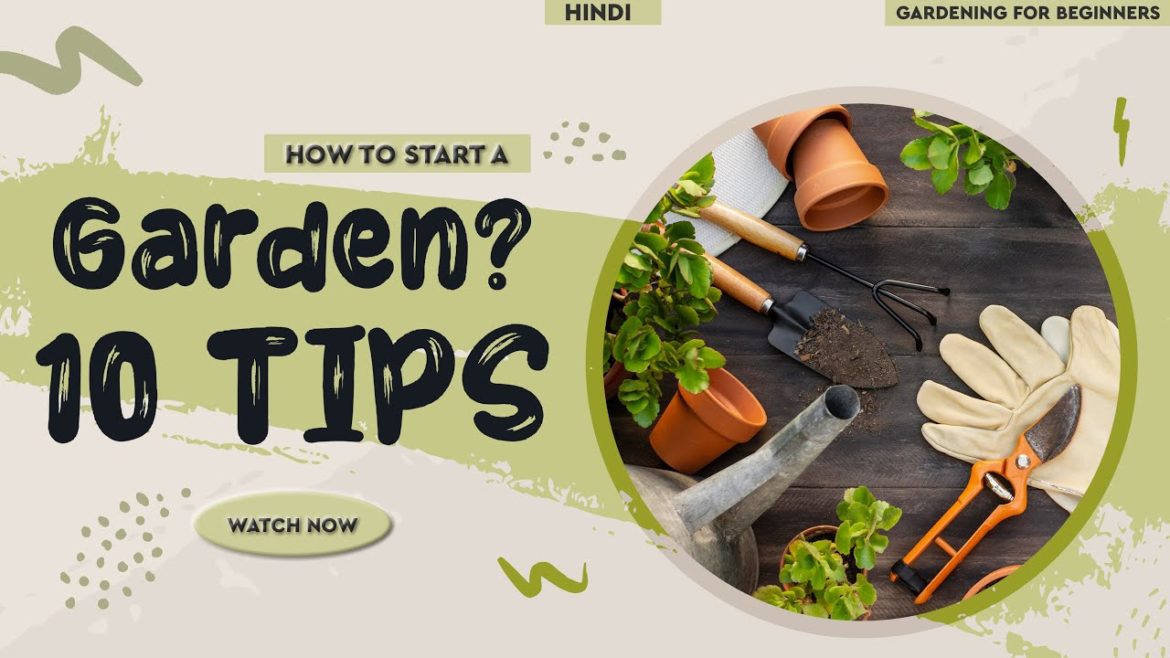 How to Grow it Like a Pro? || Gardening Tips for Beginners || Gardening Basics || How to Grow it Like a Pro? || Gardening Tips for Beginners || Gardening Basics ||