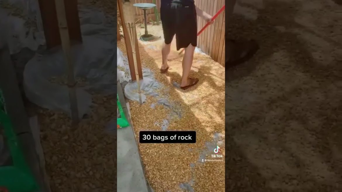 One Day Succulent Garden Transformation