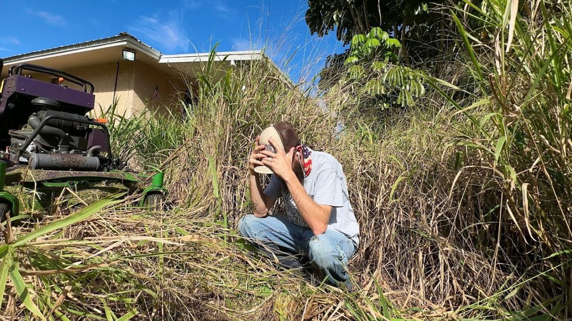 I SHOCKED a RANDOM homeowner with a SURPRISE overgrown yard makeover [HEARTWARMING]