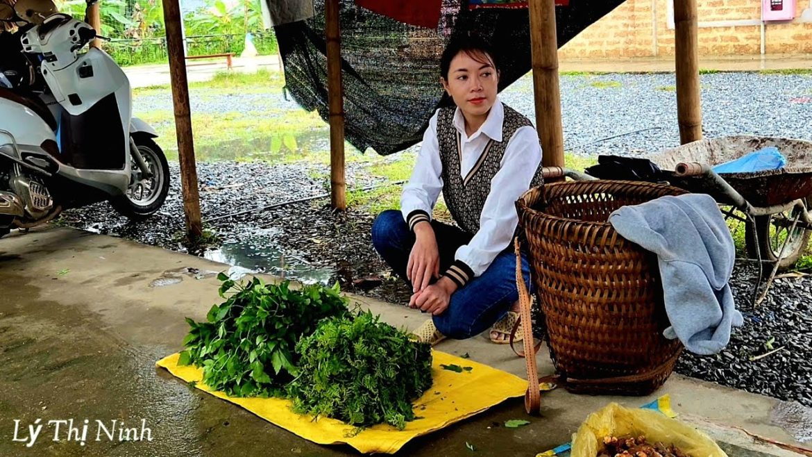 FULL VIDEO: 115 Days Harvest Vegetables Gardening To Go To The Market To Sell | Lý Thị Ninh New life FULL VIDEO: 115 Days Harvest Vegetables Gardening To Go To The Market To Sell | Lý Thị Ninh New life