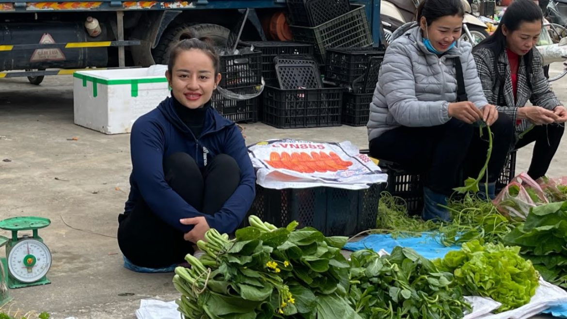 Harvest bok choy to go to the market to sell. Gardening and pet care Harvest bok choy to go to the market to sell. Gardening and pet care