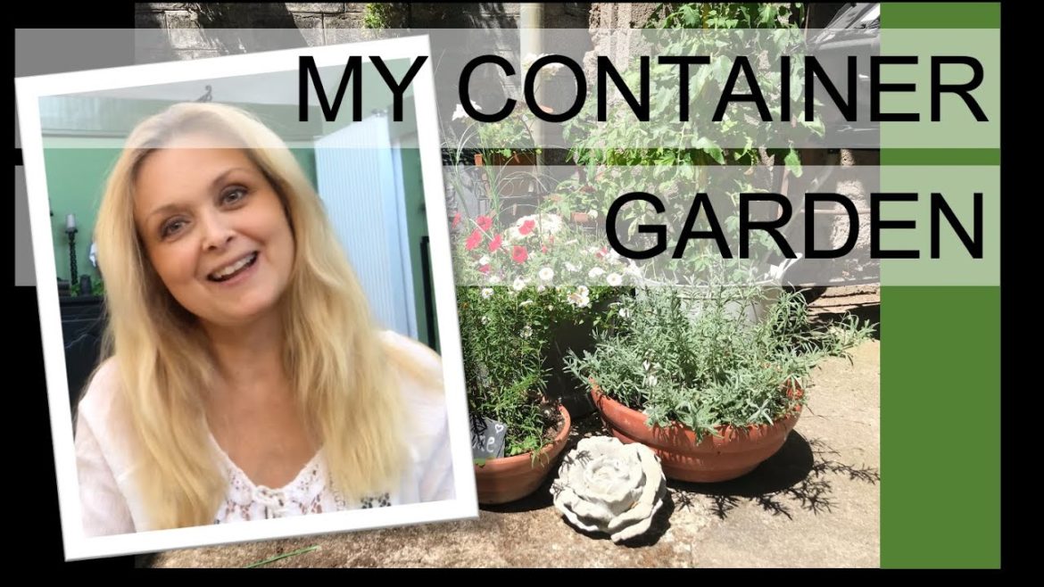 CONTAINER GARDEN CHALLENGE SUMMER 2020 CONTAINER GARDEN CHALLENGE SUMMER 2020