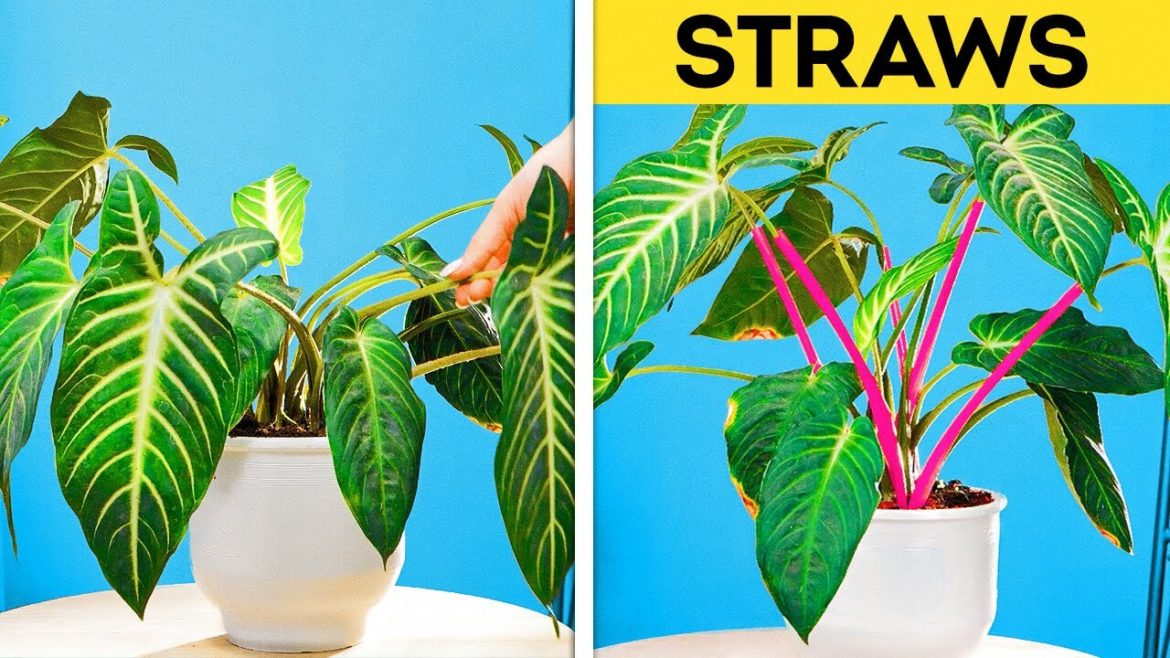 SIMPLE USEFUL HACKS FOR PLANT AND GARDEN CARE