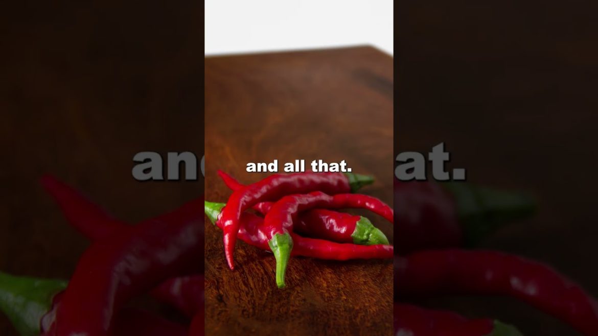 Maximize Your Productivity with This Amazing Chili Plant! #shorts Maximize Your Productivity with This Amazing Chili Plant! #shorts