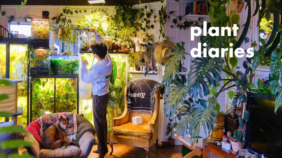 Living in JiaHao's Home for a Week – caring for plants, frogs, dogs, and cats Living in JiaHao's Home for a Week - caring for plants, frogs, dogs, and cats