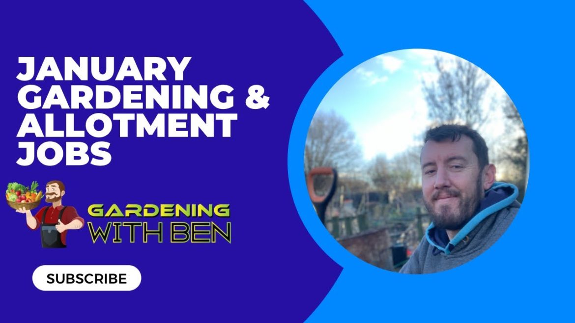 Gardening Tips for January – What to Plant, How to Plant It and More Gardening Tips for January - What to Plant, How to Plant It and More