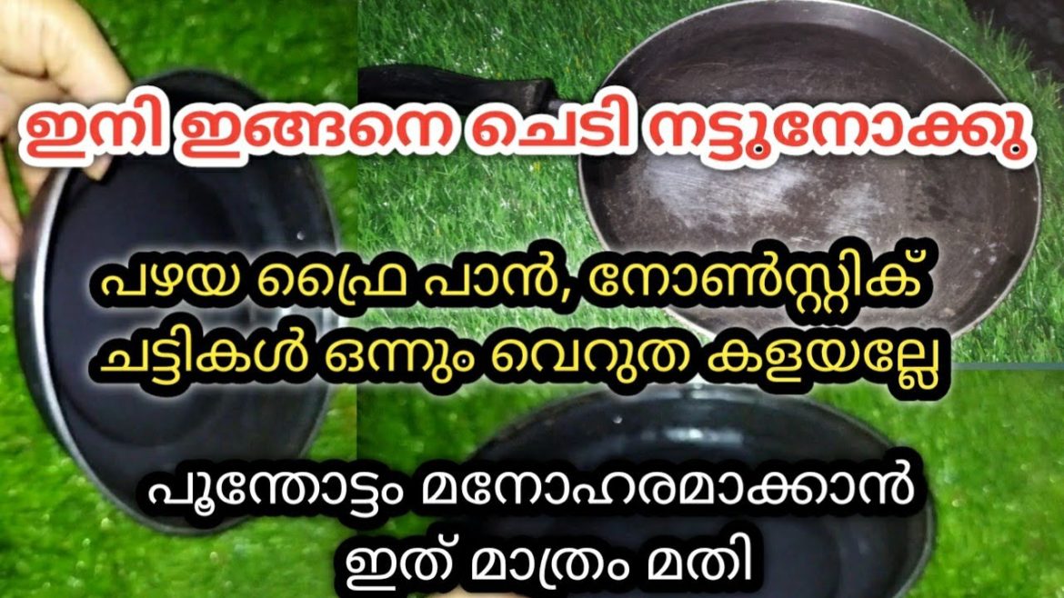 പഴയ ഫ്രൈ പാനും നോൺസ്റ്റിക്ക് ചട്ടിയും വെറുതെ കളയല്ലേ /gardening ideas for home/gardening/ideas
