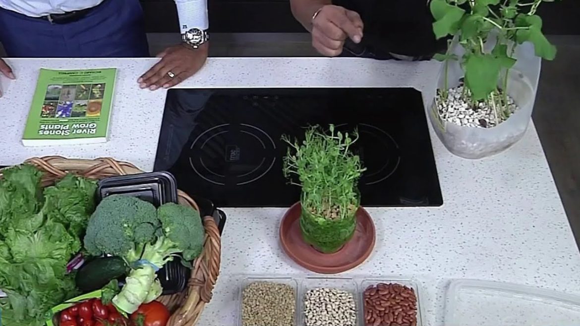 Growing Gardens From Gravel | NBC 6 Voices