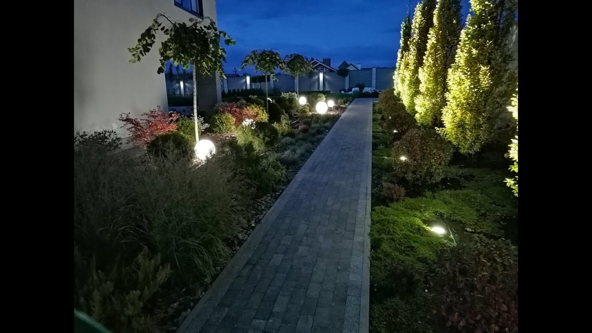Front yard Garden Landscape Lighting. Backyard Lighting Ideas. Outdoor Lighting