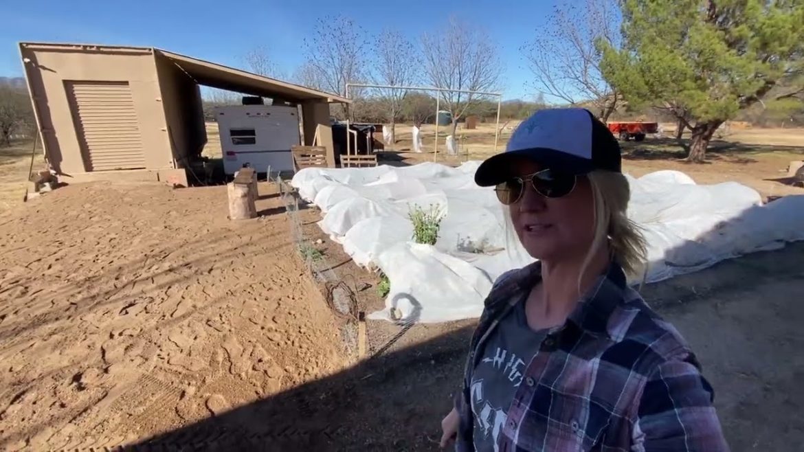 “We Tilled Up a 1/4 Acre to Grow Food & Flowers” Pt 2 of Rototilling w/a Troy Bilt-Small Farm Vlog