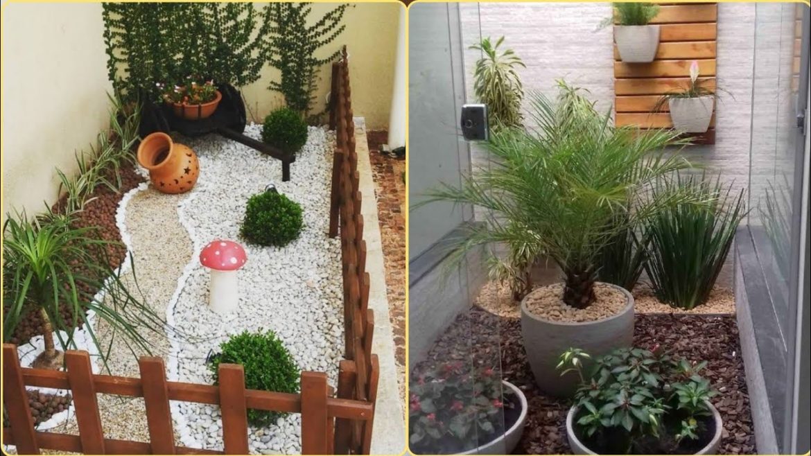 Home Decor Latest Plant Decoration Ideas 2023 || Small Garden Designs || Home Gardening Ideas Home Decor Latest Plant Decoration Ideas 2023 || Small Garden Designs || Home Gardening Ideas