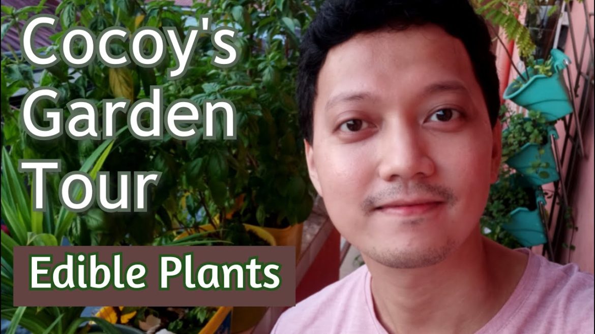 My Edible Garden | Cocoy's Garden Tour