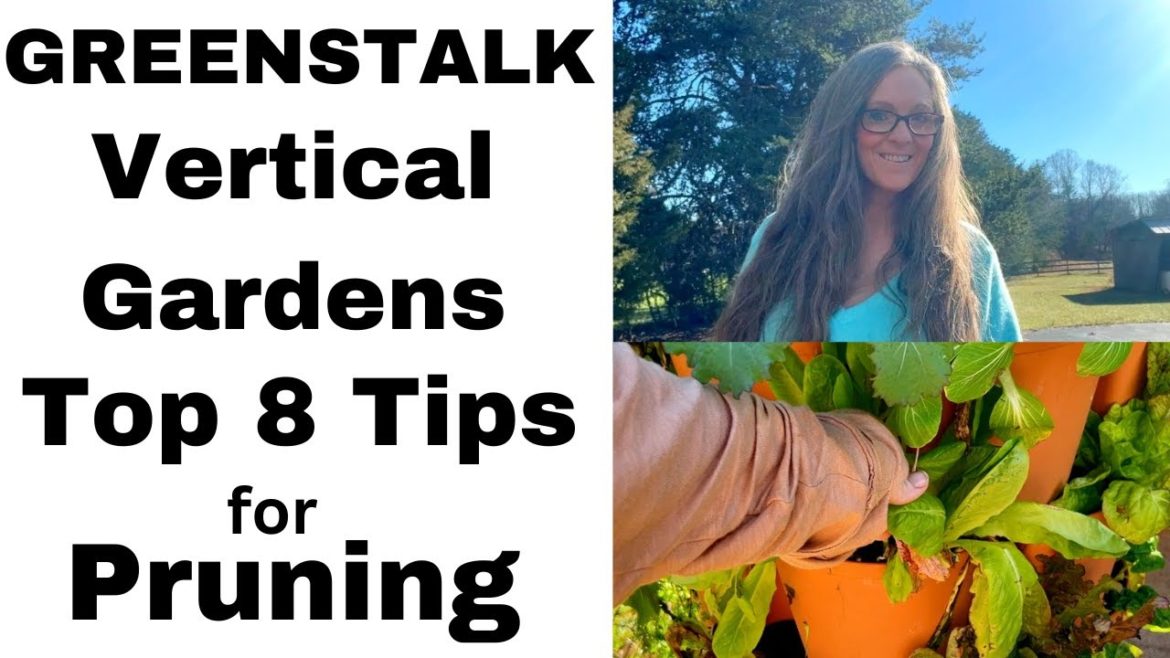 Top 8 Tips for Pruning GREENSTALK Vertical Gardens! Top 8 Tips for Pruning GREENSTALK Vertical Gardens!