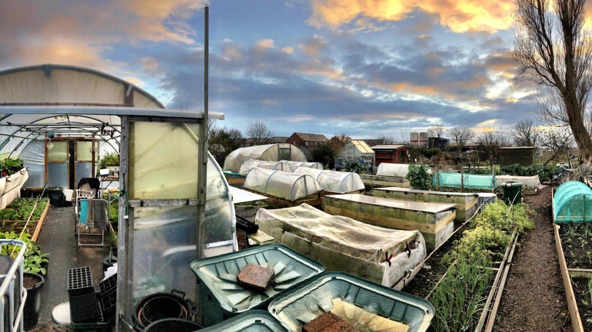 Review of 2022 : the bad and very good highlights