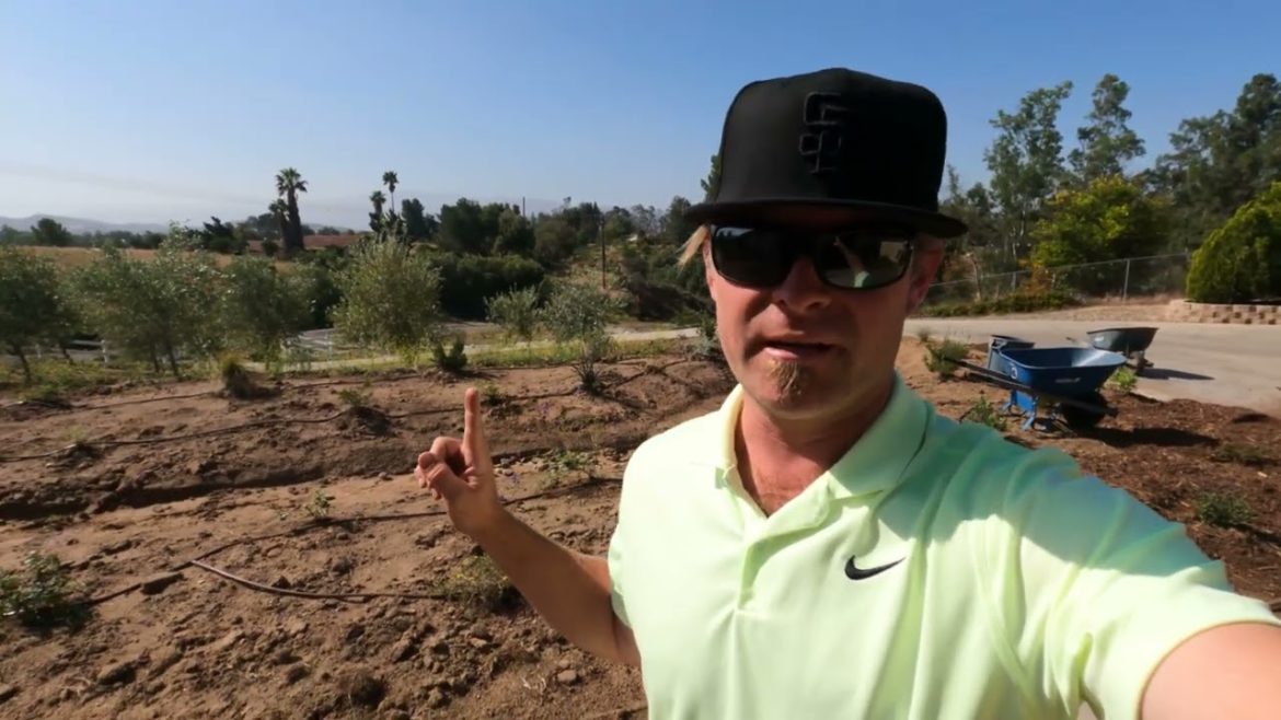 Creating a Sustainable, drought tolerant Oasis in Wine Country Temecula Creating a Sustainable, drought tolerant Oasis in Wine Country Temecula
