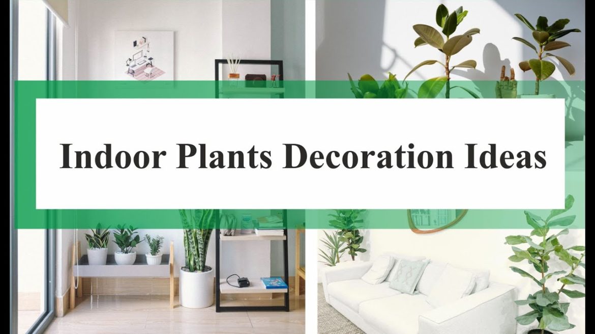 ⭐️Indoor Plants Decoration Ideas| Interior Design Decoration Ideas ⭐️Indoor Plants Decoration Ideas| Interior Design Decoration Ideas