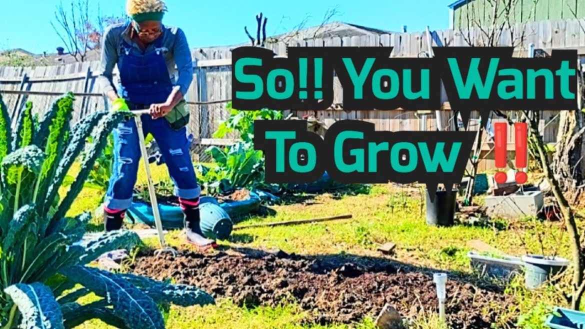 So! You Want To Grow Preparing for The Spring‼️